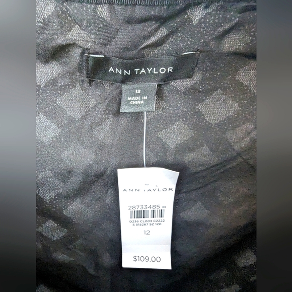 NWT - Ann Taylor skirt - Picture 3 of 4
